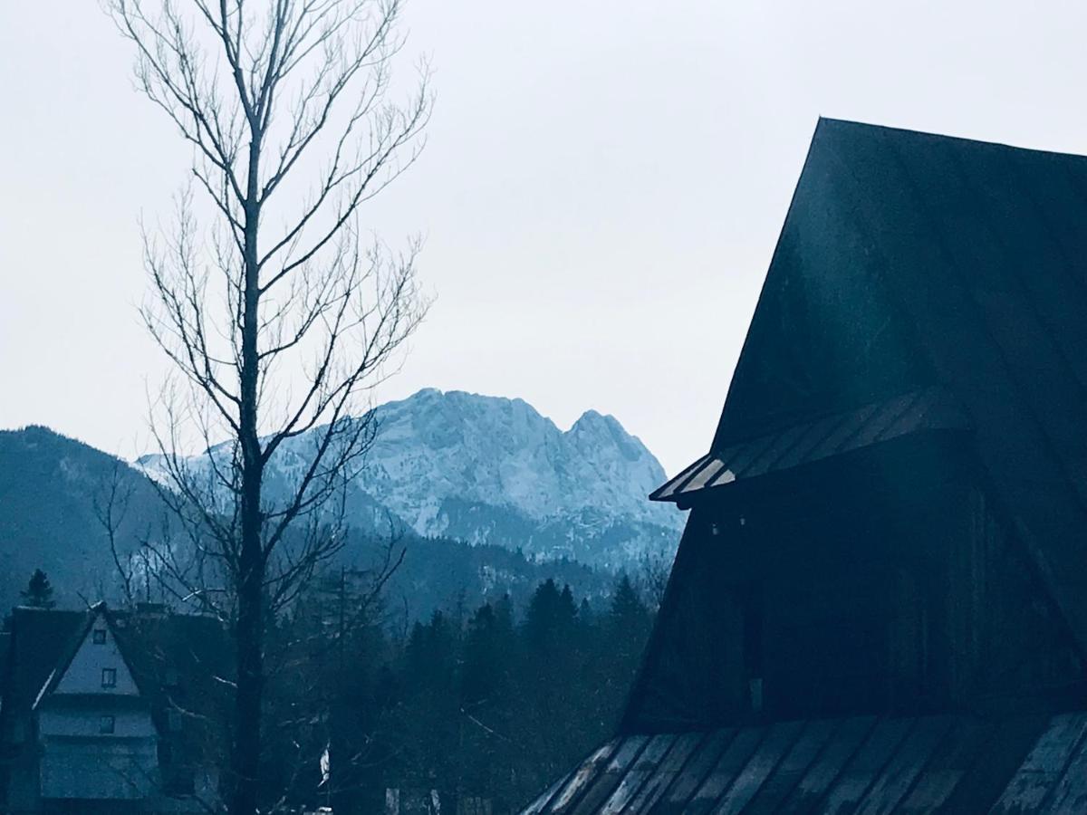 Willa Pod Gorami Zakopane Exteriér fotografie
