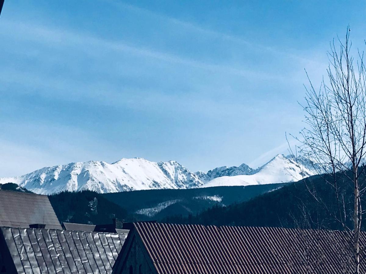 Willa Pod Gorami Zakopane Exteriér fotografie