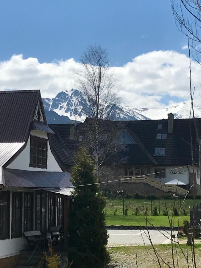 Willa Pod Gorami Zakopane Exteriér fotografie